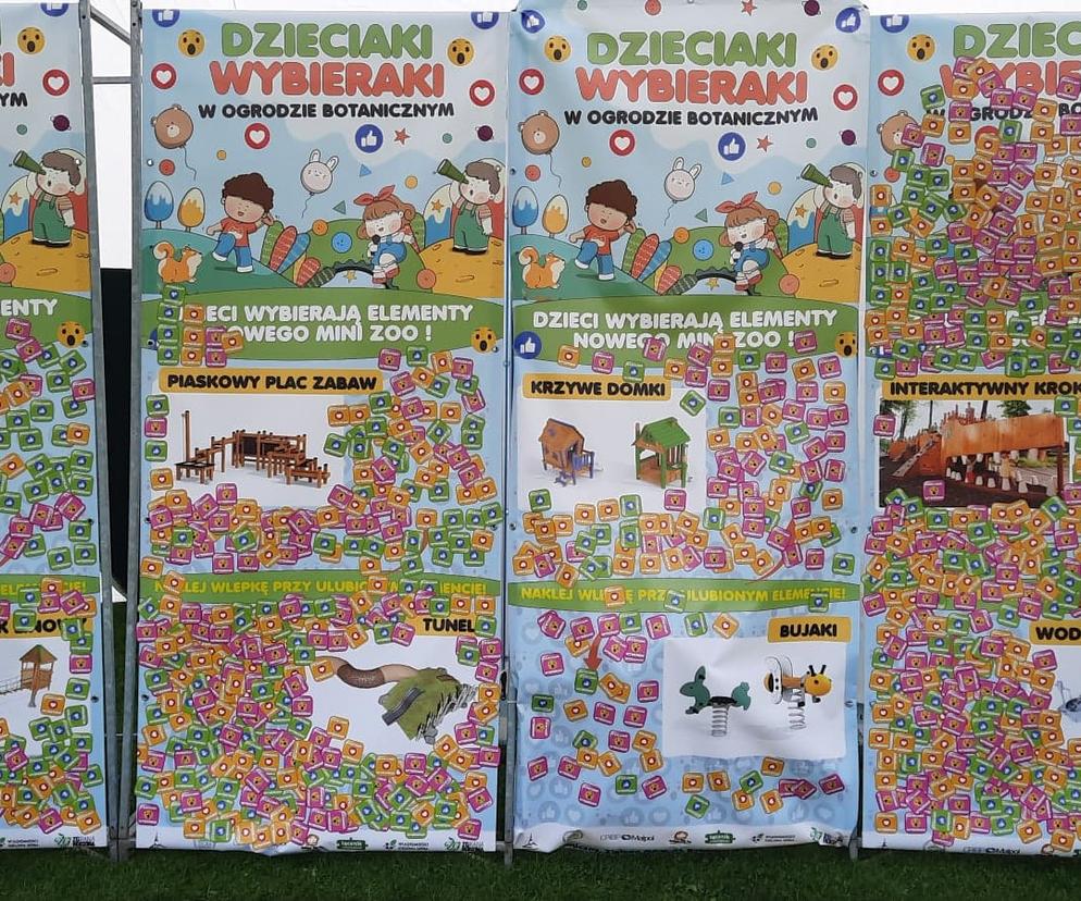 Dzieciaki Wybieraki Zielona Góra
