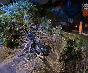 Żory. Nie zauważył ronda, bo patrzył w telefon! 18-latek dachował i cudem uniknął śmierci