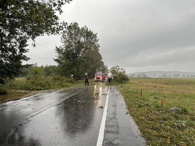 Trąba powietrzna w Łódzkiem. Zniszczenia w gminie Poświętne