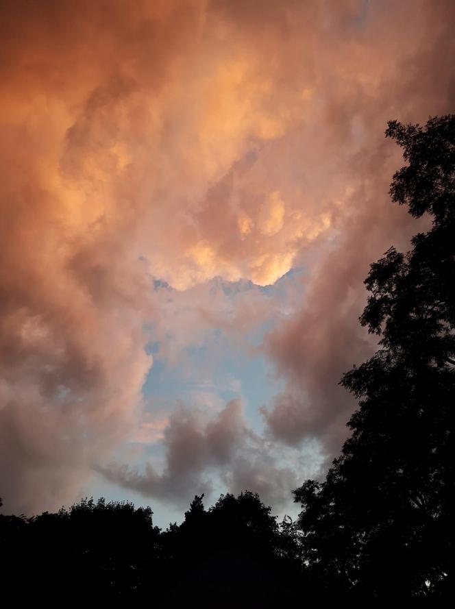 Światowy Dzień Fotografii. Z tych fotek są dumni nasi Czytelnicy! ZOBACZ