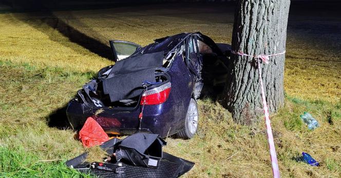  3-letniej dziewczynce pękła czaszka. Tragedia w Ucieszkowie [ZDJĘCIA]