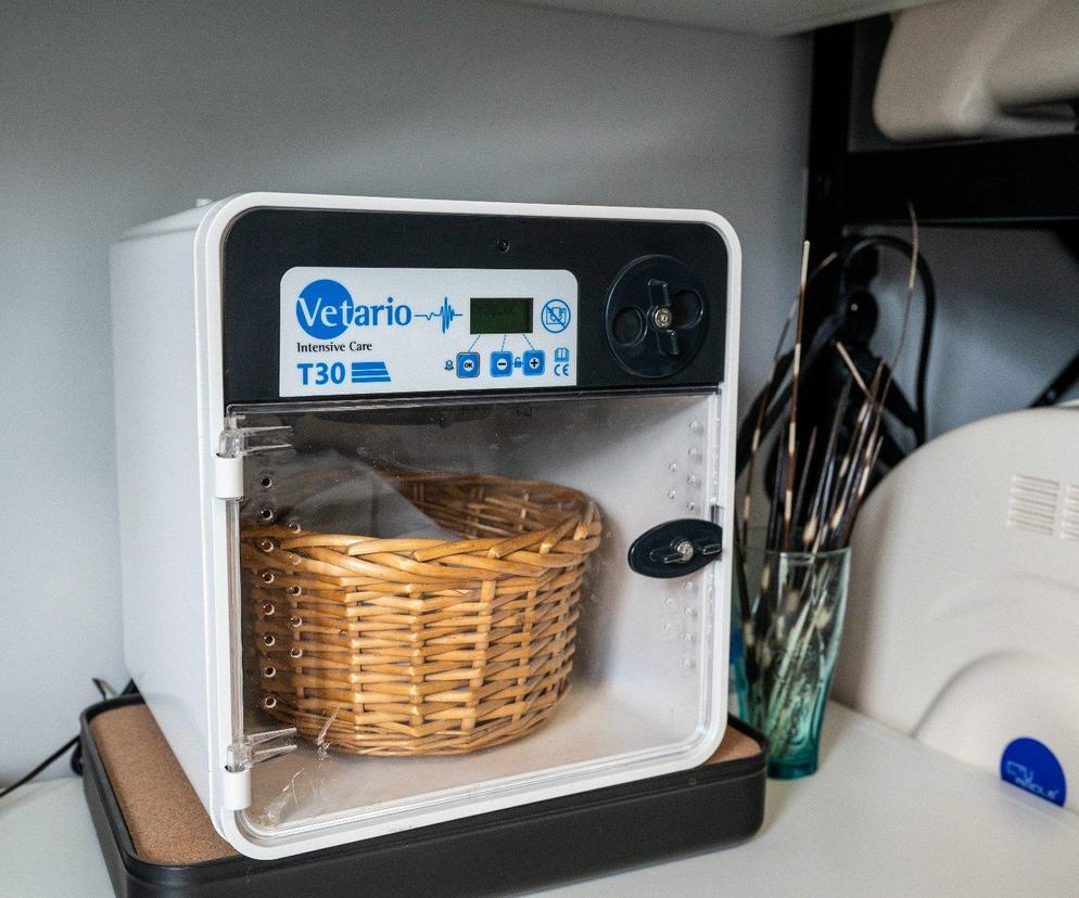 Nowość w autach poznańskiej Straży Miejskiej! To w trosce o najmniejsze zwierzaki 