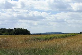 Szlak turystyczny z Tarnowa do Tuchowa