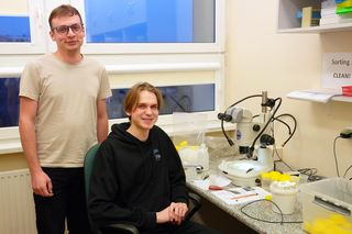 Naukowcy z UŁ odkryli nowe gatunki owadów