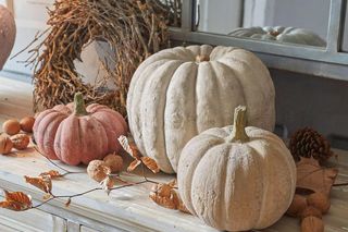 Domowe dekoracje z dyni. Tak dynia odmieni twój dom tej jesieni. Sprawdź nasze pomysły!