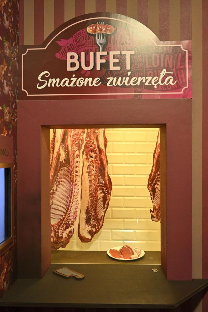 Reporterzy "Super Expressu" zamienili się w świnie. To pierwsze takie miejsce w Polsce. Nietypowy escape room w Warszawie