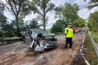 Wypadek na DK 38 w Ucieszkowie. Cztery osoby zostały poszkodowane