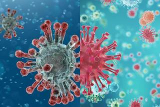 Czy COVID-19 jest jak grypa? Tomasz Rożek porównał oba wirusy. Wnioski są zaskakujące [WIDEO]