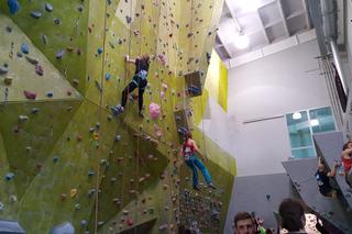 Akademickie Mistrzostwa Polski we wspinaczce sportowej