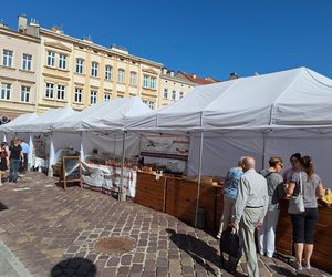 Festiwal Karpaty na Widelcu w Rzeszowie
