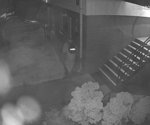 Ktoś rozpylił śmierdzącą substancję na samochód i budynek