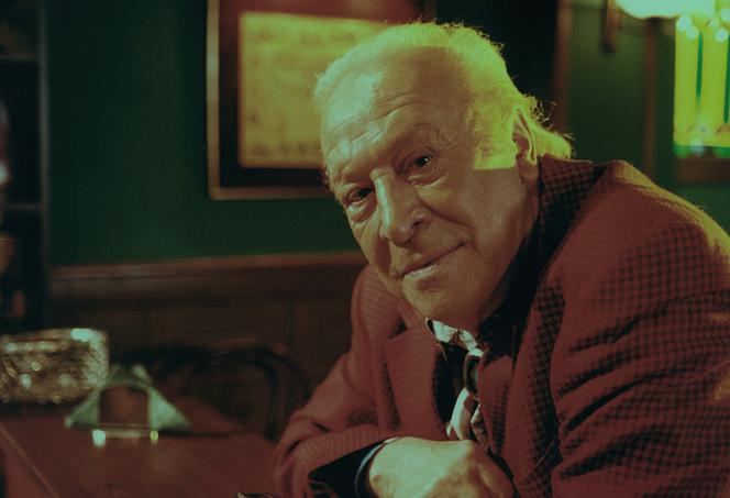 Złotopolscy. Leon Niemczyk