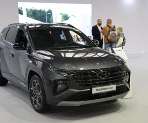 Poznań Motor Show 2024: Oto najpiękniejsza samochody! 