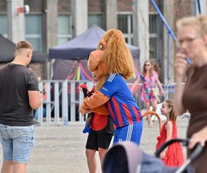 Święto Bytomia 2025: Ostrowska, Kanberry i Gromee