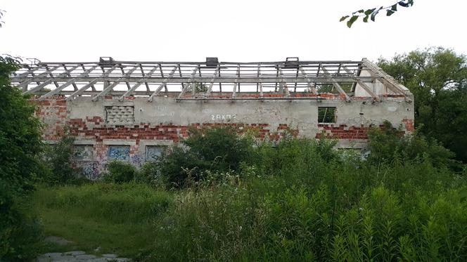 Jakie tajemnice kryją Górki Fordońskie?
