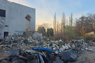 Duże zmiany Nowej Hucie. Trwa wielkie sprzątanie po latach zaniedbań 