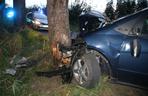Tragiczny wypadek w Grucie! Kierowca nie miał szans [ZDJĘCIA]