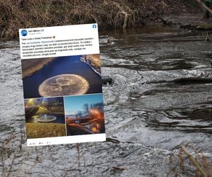 Niezwykłe zjawisko na rzece w woj. lubelskim. Utworzył się na niej lodowy krąg