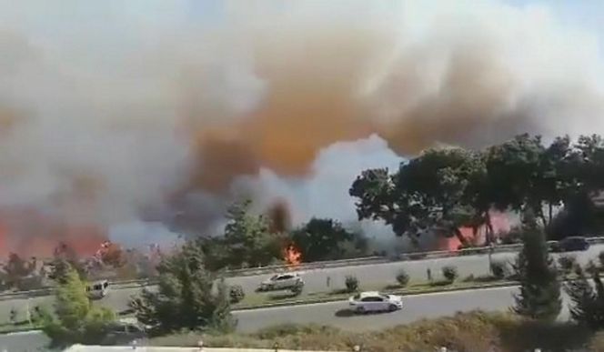 Fala upałów w Europie! "Centra chłodzenia" powstają w miastach