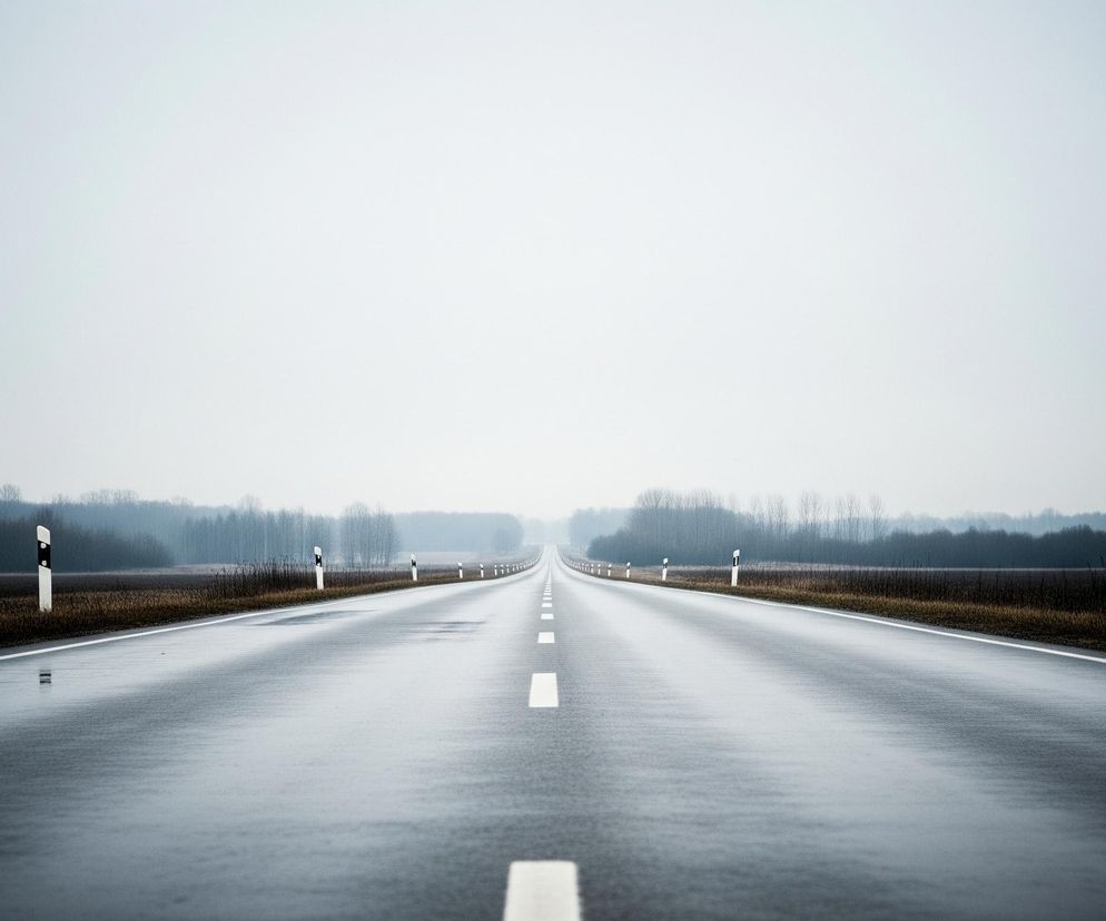 Długa, prosta droga asfaltowa biegnie wzdłuż centrum kadru, zanikając w oddali. Jest mokra i odbija światło szarego, zachmurzonego nieba, które dominuje w górnej części obrazu. Po obu stronach drogi rozciągają się pola z brązową trawą i ciemne lasy bezlistnych drzew. Na poboczach drogi, co pewien czas, stoją białe słupki drogowe z czarnymi, ukośnymi pasami, podkreślającymi jej długość i perspektywę.