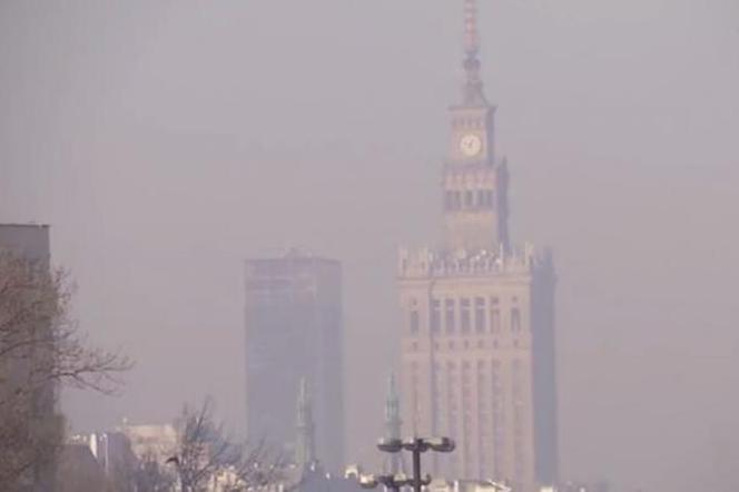 Jak odróżnić smog od mgły? Te zjawiska mogą być mylone!