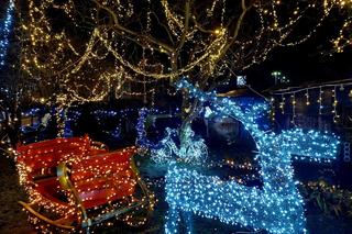 Byłam w domu Griswoldów w Bydgoszczy. Poznałam niesamowitą historię tego miejsca