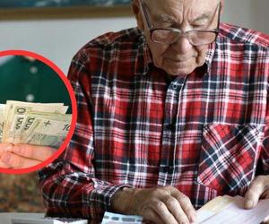 ZUS ujawnia kwoty emerytur, które wypłaca. Ile wynosi średnia emerytura w Polsce?