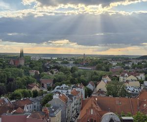 Olsztyn z lotu ptaka. Tak wygląda miasto z wieży ratuszowej