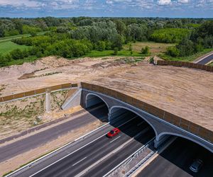 Budowa S7 Płońsk - Czosnów, odcinek od węzła Modlin do węzła Czosnów