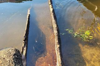 Strażacy wyłowili tajemniczą niespodziankę. Łódź wydobyta na brzeg pamięta rozbiory Polski!