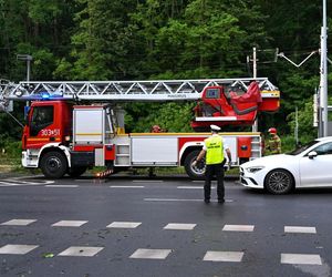 Usuwanie skutków burzy jaka przeszła nad Szczecinem