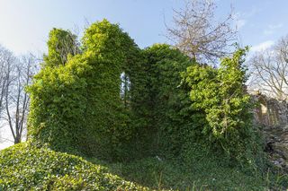 Magiczne miejsce w malutkiej wsi na Warmii i Mazurach. Stoją tam ruiny sprzed 700 lat