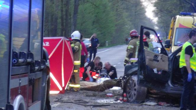 Range Rover roztrzaskał się na drzewie, z auta została miazga. W wypadku zginęła młoda kobieta