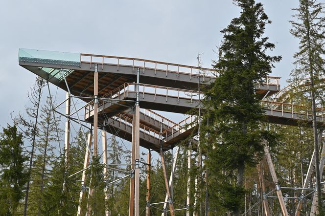 SkyWalk - Serce Poronina 