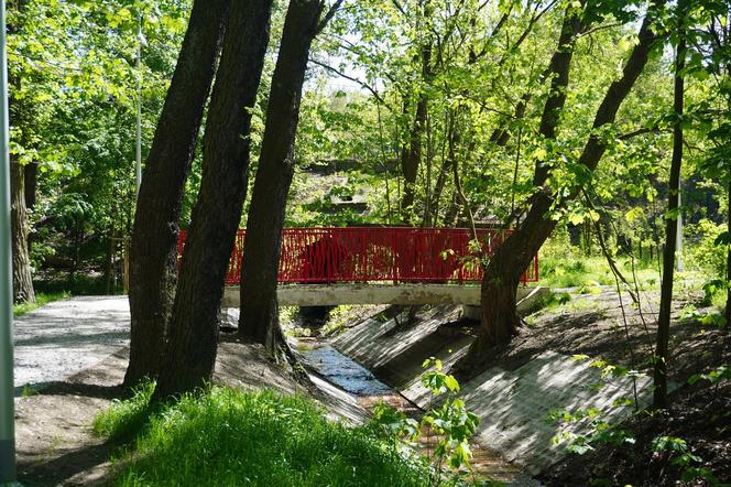 Tak wygląda park w dolinie Ślepiotki w Katowicach