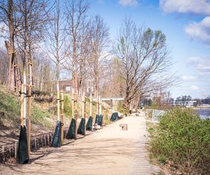 Park Żerański w Warszawie