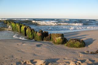 Które kąpieliska nad Bałtykiem są otwarte? Mamy odpowiedzi. 