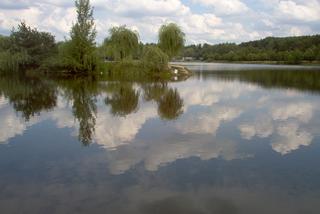 Makabryczne odkrycie w stawie Łąka w Katowicach. Wyłowiono z wody zwłoki mężczyzny