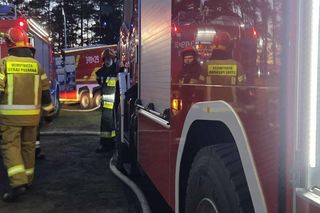 Ogień zmienił schronisko w zgliszcza! Straty są ogromne. „Jesteśmy zdruzgotani”