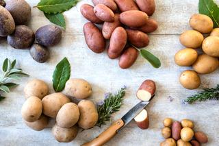 Odmiany ziemniaków. Jakie ziemniaki wybrać do konkretnej potrawy?