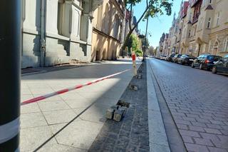 Bydgoszczanie marzą o roślinach wzdłuż ulicy, a drogowcy chcieli tam słupków. Jest reakcja na protest