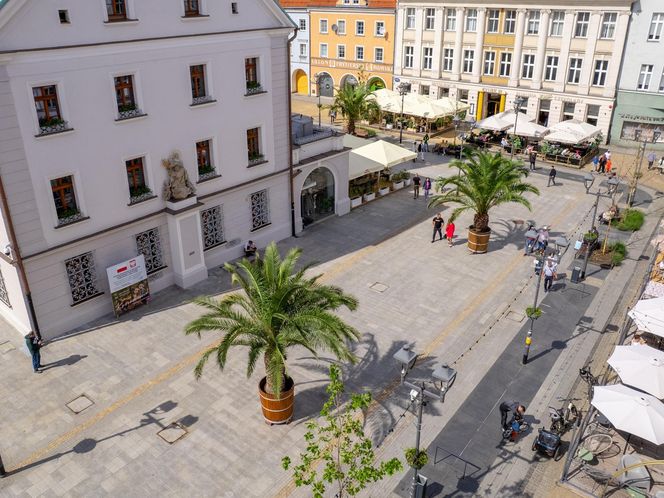 Las Palmas przyjechało na Śląsk. Gliwice niczym egzotyczny kurort dla turystów