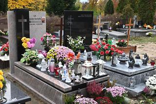 Aniołki i misie strzegą grobu 6-letniej Sandry, obok rozkwita kwiat róży