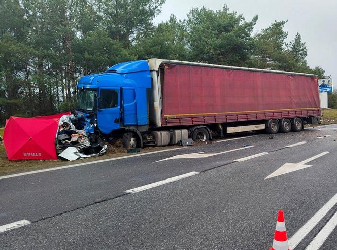 Tragiczny wypadek w miejscowości Przyłubie pod Bydgoszczą. Zdjęcia z miejsca zdarzenia