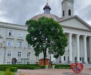 Bar mleczny w bydgoskiej bazylice ciągle niegotowy. Kiedy otwarcie?