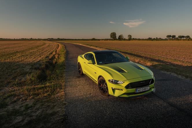 Ford Mustang GT 5.0 V8 55 Edition