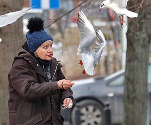 Anna Chodakowska. Gwiazda Labiryntu wśród ptaków