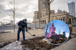 Przy nowej drodze pod Pałacem Kultury pojawiły się drzewa. Jedno z nich własnoręcznie zasadził Rafał Trzaskowski 