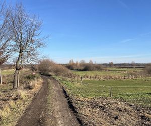 Myśliwy zastrzelił myśliwego. Dusza człowiek. Horror pod Milejowem