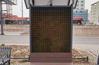 To pierwsze takie ławki w Polsce. Pełnią funkcję stacji pogodowej i oczyszczają powietrze